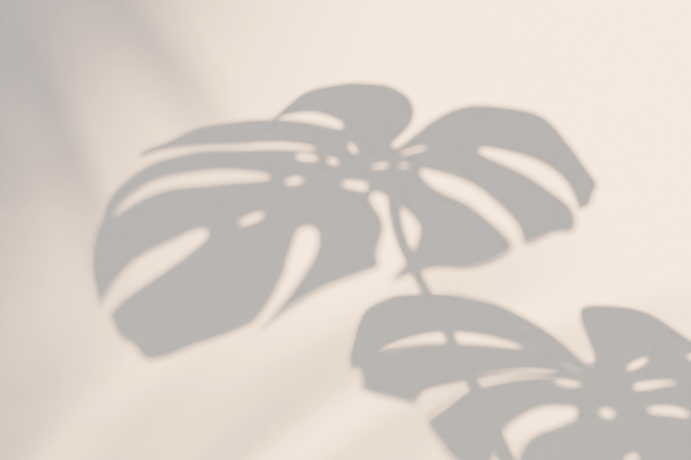 Read more about the article Anamnesi o storia di vita? Le parole che scegliamo nel nostro lavoro